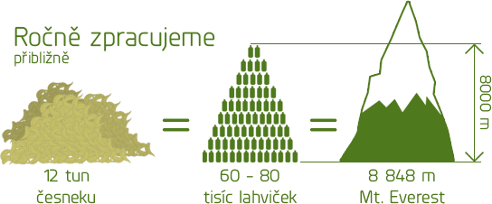 infografika